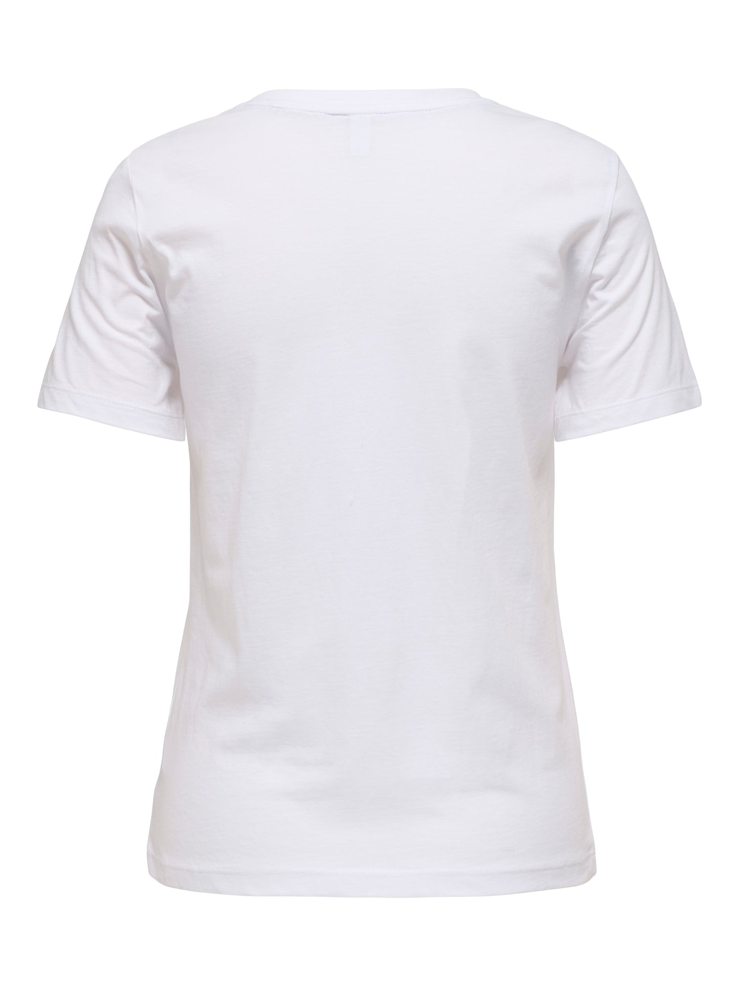 Camiseta Teddy Collection